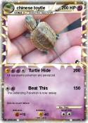 chinese toytle