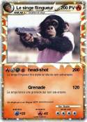 Le singe