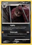 arlozard