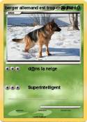 berger allemand
