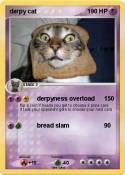 derpy cat