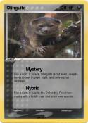 Olinguito