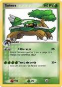Torterra