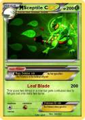 Sceptile C
