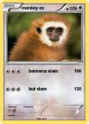 monkey ex