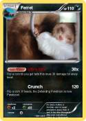 Ferret