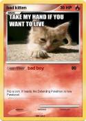 bad kitten