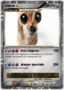 chipok