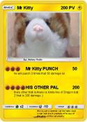Mr Kitty