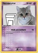 Paczający Kot