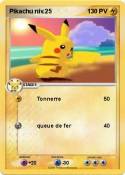 Pikachu niv.25