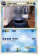 water bowl
