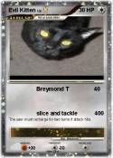 Evil Kitten
