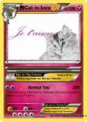 Cat in love