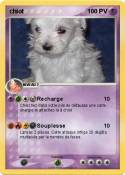 chiot