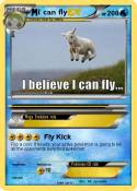 I can fly