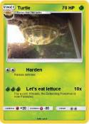 Turtle