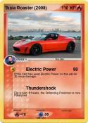 Tesla Roaster