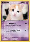 Gato Fofo