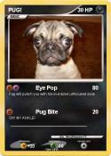 PUG!