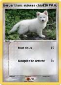 berger blanc