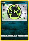 cat noir
