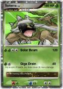 Torterra