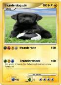 thunderdog