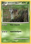 berger allemand