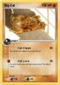 Big Cat