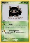 Ninja cat