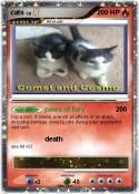 cats