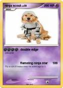 ninja scout