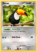 Toucan