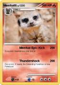 Meerkattt