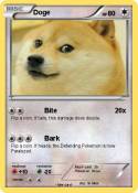 Doge