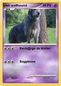 irish wolfhound