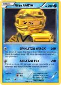 Ninja AARYA