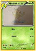 Mega Leaver ex