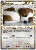 cute dog