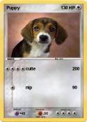 Puppy