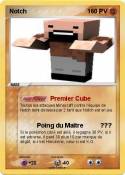 Notch
