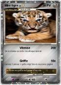 Mini tigre