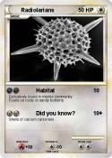 Radiolarians
