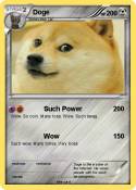 Doge