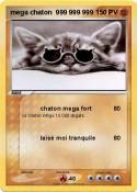mega chaton 999