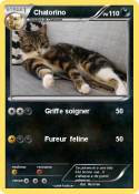 Chatorino