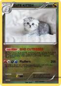 CUTE KITTEH