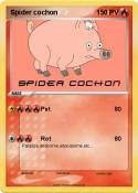 Spider cochon