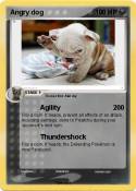 Angry dog